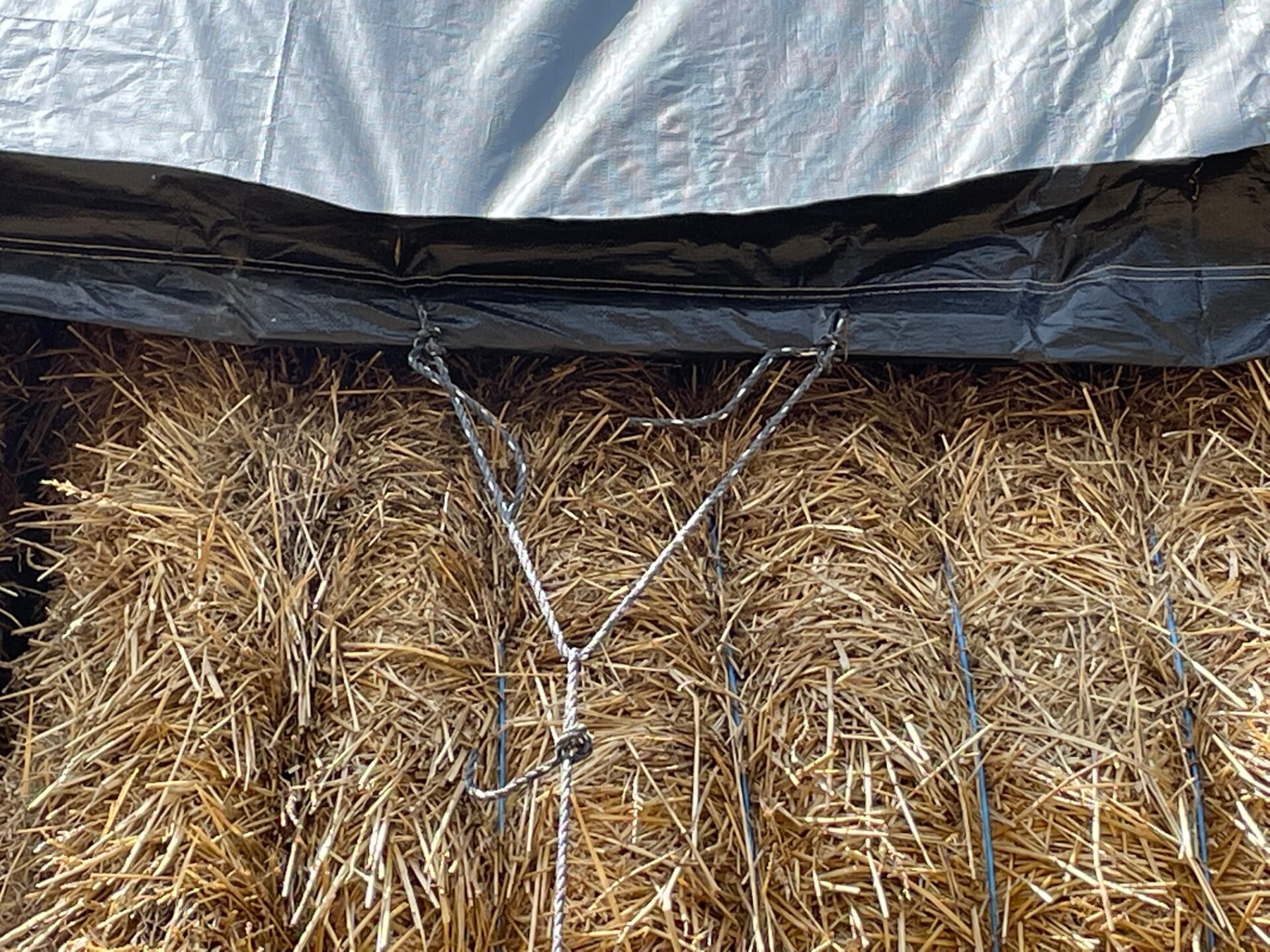 Tarps